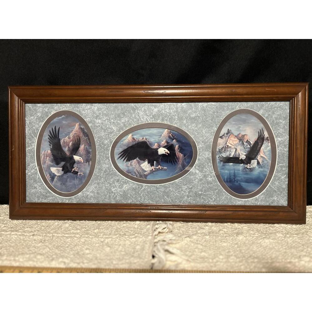 Vintage Bald Eagle Mountain Triptych Framed Art 21.5x9.5‎ Rustic Decor